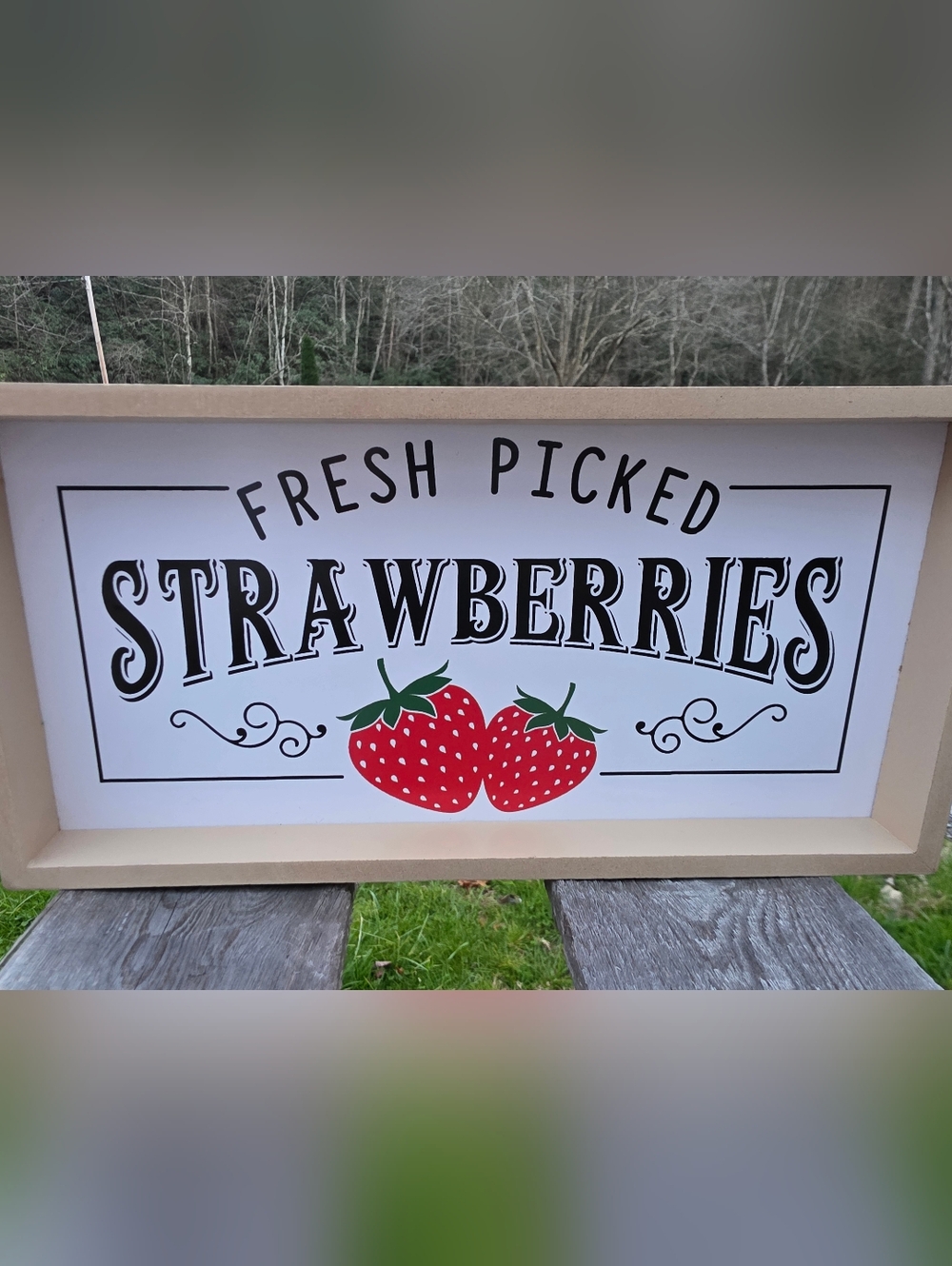 Fresh Picked Strawberries Kitchen Wall Sign - Red & Green